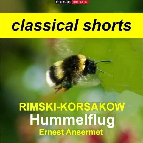 Cover zu RIMSKY-KORSAKOW Hummelflug - L' Orchestre de la Suisse Romande - ERNEST ANSERMET Cover zu RIMSKY-KORSAKOW Hummelflug - L' Orchestre de la Suisse Romande - ERNEST ANSERMET